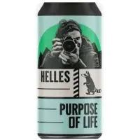 Wild Raccoon Purpose of Life