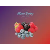 Urban Lodge Brewing Company Mixed Berry
