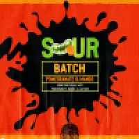 Labyrinth Brewing Company Sour Batch - Pomegranate Mango