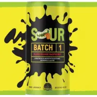 Labyrinth Brewing Company Sour Batch 1 - Blood Orange Raspberry