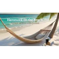 Red Brewster Hammock on the Beach