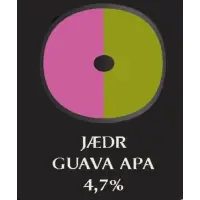 Rygr Brygghús Jædr Guava APA