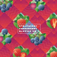 Stamm Brewing Blowing Up: Strawberry & Chokeberry