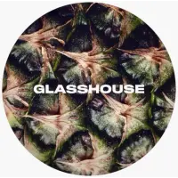 Glasshouse Beer Co Tropics