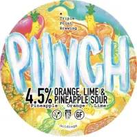 Triple Point Brewing Punch