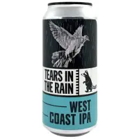 Wild Raccoon Tears in the Rain