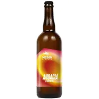 Pivovar Mazák 14 Audacia Modern IPA