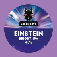 Mad Squirrel Einstein
