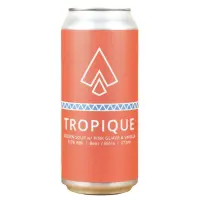 Ile Sauvage Brewing Tropique Sour