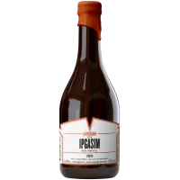 Carton Brewing Ipgasim