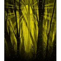 Tree House Brewing Company Fleeting Moment