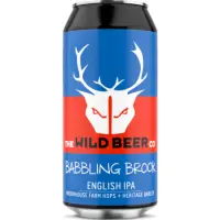 Wild Beer Co Babbling Brook