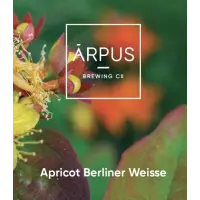 Ārpus Brewing Co. Apricot Berliner Weisse