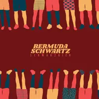 Bright Ideas Brewing Bermuda Schwartz