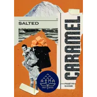 Cerveja Artesanal Rima Salted Caramel Gose