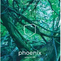 černý potoka phoenix