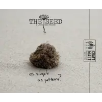 The Seed: A Living Beer Project As Simple As Patterns?