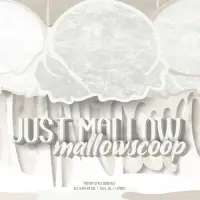 2Toms Brewing Company Just Mallow Mallowscoop
