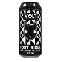 Mad Squirrel Post Rider