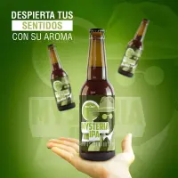 Master Beer Mysteria