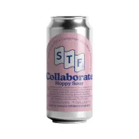 Simple Things Fermentations Collaborate - Hoppy Sour