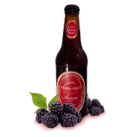 Cervecería Terra Cruz Saison Mora