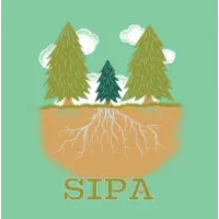 Tonewood Brewing SIPA