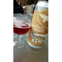 Dogfish Head Craft Brewery Boysenberry Creamsicle Sour