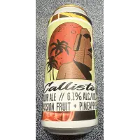 Social Project Brewing Co Callisto