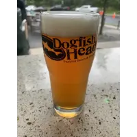 Dogfish Head Craft Brewery No Labels
