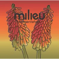 Milieu Fermentation Torch Lily