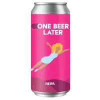 One Beer Later (Berăria Calul Bun) La Vie en Hops