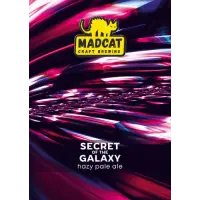 MadCat Secret of the Galaxy