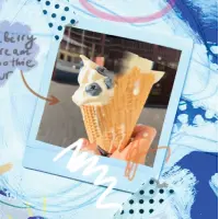 Tuletorn Brewing Mustikas