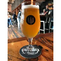 Wayfinder Beer Columbian Kolsch