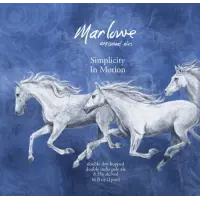 Marlowe Artisanal Ales Simplicity in Motion