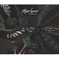 Marlowe Artisanal Ales Up Until Now