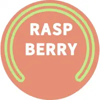 Parish Brewing Company SIPS: Raspberry