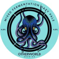 Otherworld Brewing Mixed Fermentation Hazy Pale