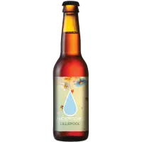 Anderson's Lillepool