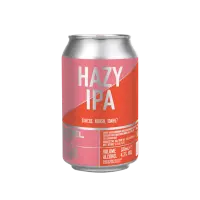 Buddelship Brauerei Hazy IPA