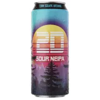 Town Square Brewing Company 2D Sour NEIPA