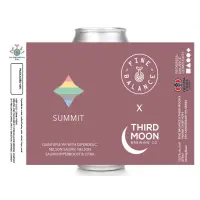 Fine Balance Brewing Company Summit