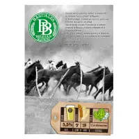Cerveceria Berlina Baguales