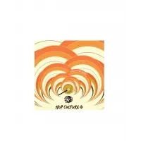 Double Nickel Brewing A Tale of Two Gongs