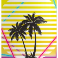 Double Nickel Brewing Leisure Police