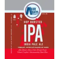 Blue Pants Brewery Hop Bursted IPA