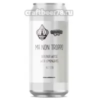 Salden's Brewery Ma Non Troppo