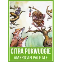 Down the Road Brewery Citra Puckwudgie