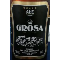 Cerveza Jerome Grosa Ale Andino